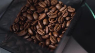 Fresh roasted coffee beans falling in box