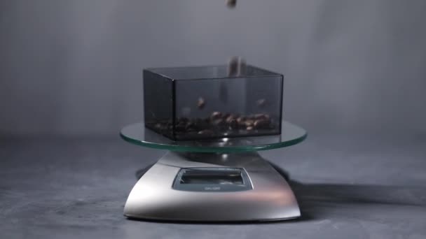 Fresh roasted coffee beans falling to scales — Vídeo de Stock
