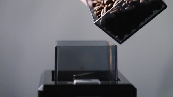Fresh roasted coffee beans falling in box — Wideo stockowe