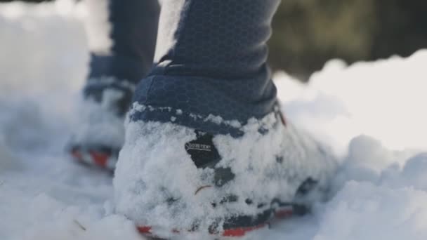 Mannen som løper mot fjellet med snø – stockvideo