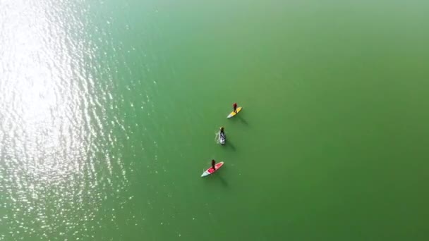Poeple paddlar på sup board i vintersjön — Stockvideo