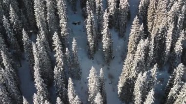 Güzel kış dağlarının havadan manzarası