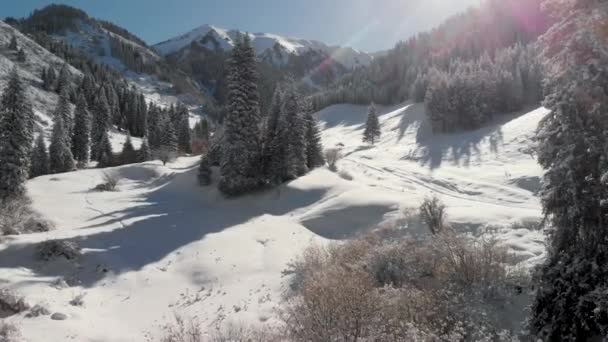 Krajobraz lotniczy pięknych gór zimowych — Wideo stockowe