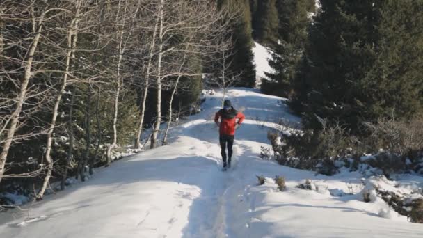 Man rent op de berg met sneeuw — Stockvideo