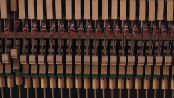 老式钢琴内的锤和弦 — 图库视频影像