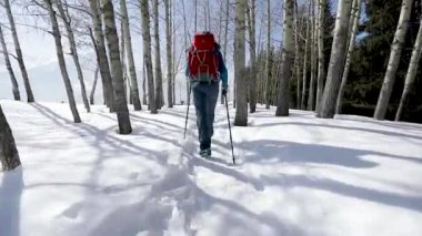 Kış dağlarında kırmızı sırt çantalı bir yürüyüşçü.