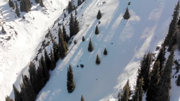 Paysage aérien de belles montagnes d'hiver — Video