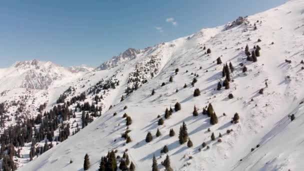 Paysage aérien de belles montagnes d'hiver — Video