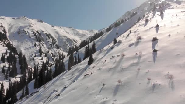Εναέρια τοπίο των όμορφων χειμερινών βουνών — Αρχείο Βίντεο