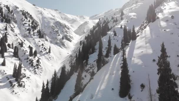 Pemandangan udara pegunungan musim dingin yang indah — Stok Video