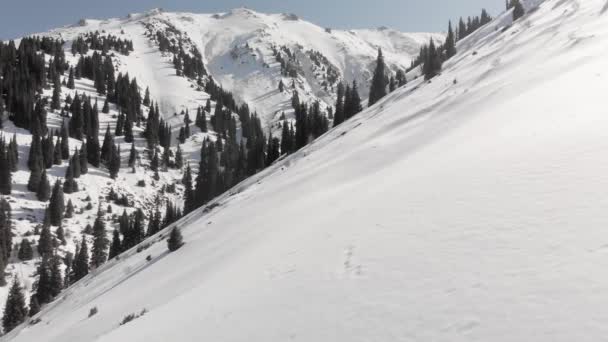 Paisaje aéreo de hermosas montañas de invierno — Vídeos de Stock