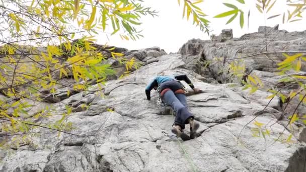 높은 바위 위로 기어오르는 사람 — 비디오