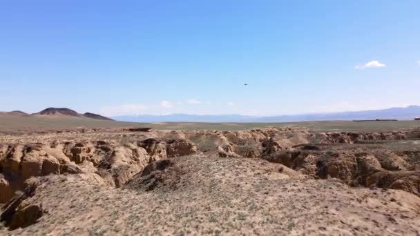 Drone shot of Eagle fly in canyon desert mountains — Video