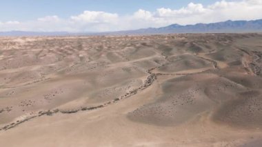İnsansız hava aracı Kanyon çölünde at sürerken vuruldu.