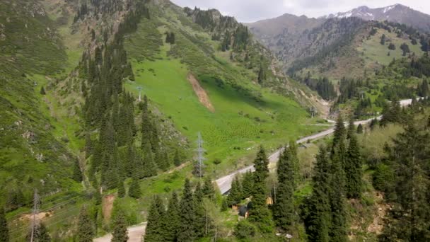 Foresta Aerea abete rosso nella montagna di Almaty — Video Stock
