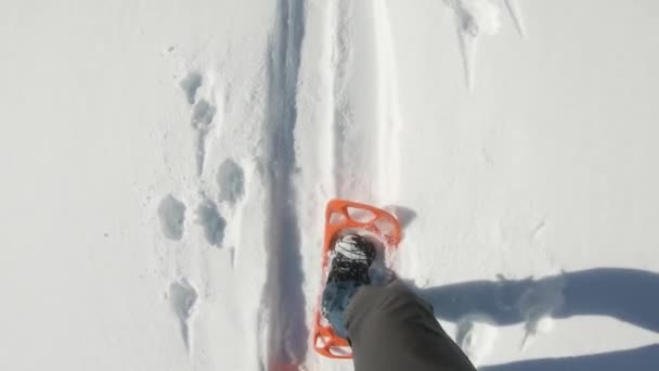 Wędrowiec spacerujący w pomarańczowych rakietach śnieżnych — Wideo stockowe