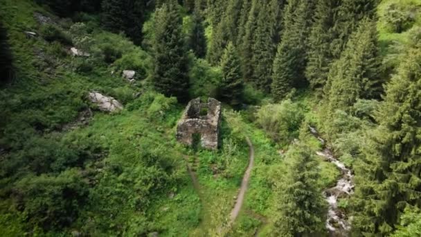 Aerial Drone Shot Starego Zniszczonego Lasu Świerkowego Zamku Alpejskiego Dolinie — Wideo stockowe