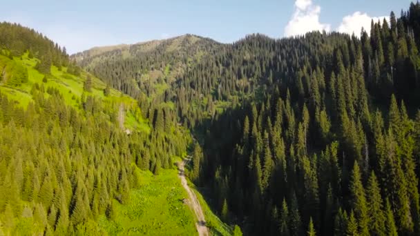 阿拉木图哈萨克斯坦河流附近高山谷地云杉林高山的空中无人驾驶飞机射击 — 图库视频影像