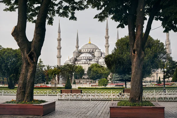 土耳其伊斯坦布尔苏丹阿赫迈特公园的著名地标景观 绿树成荫 — 图库照片