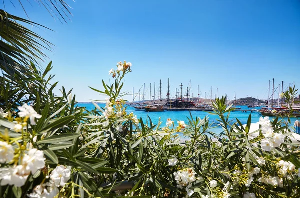 Utsikt Över Bodrum Beach Från Promenade Segelbåtar Båtar Vid Egeiska — Stockfoto