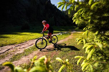 Beyaz sakallı eski bisikletçi Almaty, Kazakistan 'daki yeşil ladin ormanında dağ bisikletine biniyor. Extreme Spor ve açık hava eğlencesi konsepti.