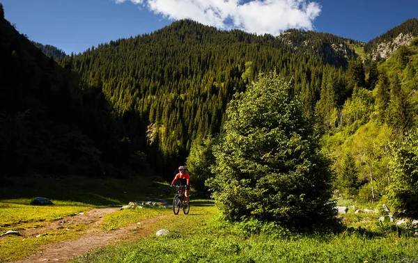 Ciclista Velho Com Barba Branca Monta Sua Bicicleta Montanha Floresta — Fotografia de Stock