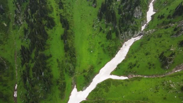 Glacier Neige Blanche Avec Cascade Dans Vallée Montagne Forêt Verte — Video