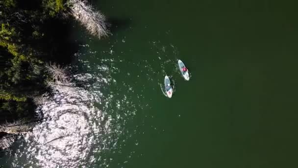Deux Hommes Nagent Stand Paddle Boards Sup Dans Lac Montagne — Video