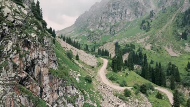 Aerial Drone Shot Country Road Spruce Tree Forest Alpine Mountain — Wideo stockowe