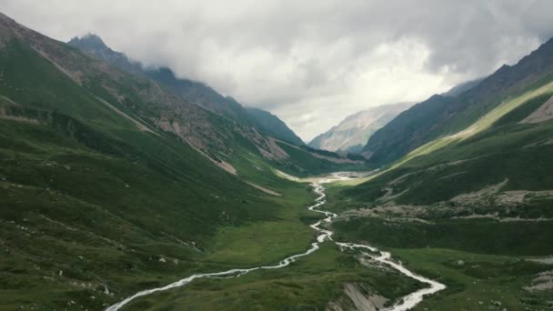 Aerial Drone Landscape Shot White Water River Flow Spruce Tree — Video