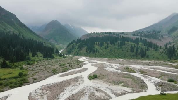 Aerial Drone Landscape Shot White Water River Flow Green Spruce — Αρχείο Βίντεο