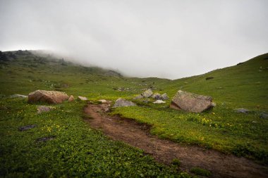 Dağ vadisindeki yeşil tepelerdeki güzel manzara ve karanlık fırtınada yemyeşil çayırlar Almaty, Kazakistan 'da yağmur.