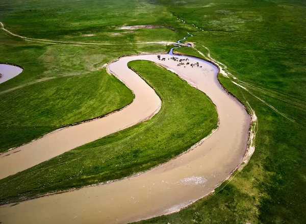 Herd Horses Drink Water River Aerial Drone Shot Beautiful Scenery — Stock Photo, Image