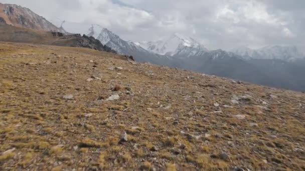 空中无人驾驶景观揭示了哈萨克斯坦高山峡谷雪峰与冰川和岩石的高速拍摄 — 图库视频影像