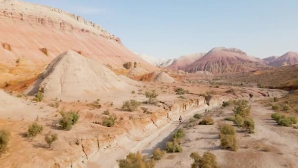 砂漠の近くの観光客と渓谷の道の空中ドローンショット超現実的な縞模様の赤とカザフスタンの干ばつの地球と白の山々 — ストック動画