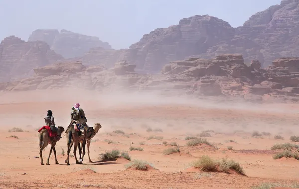 Auf Kamelen, die durch den Wüstensturm gehen lizenzfreie Stockfotos