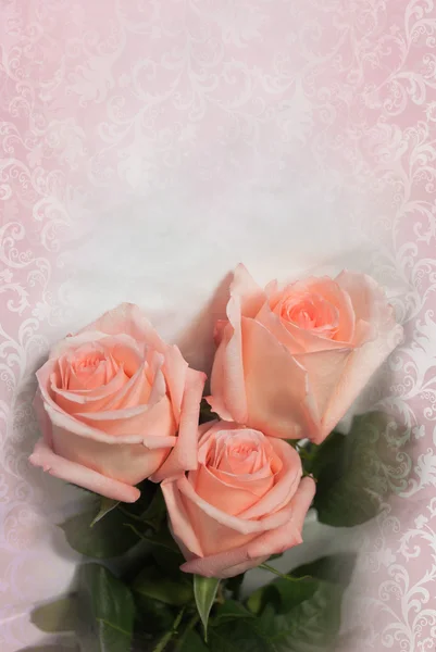 Pink roses on vintage background — Stock Photo, Image