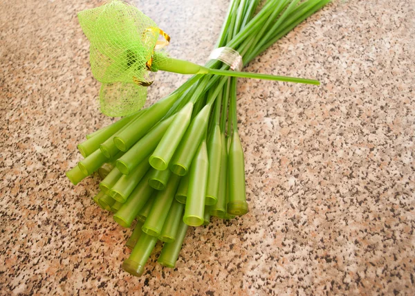 Plastic flower tube — Stock Photo, Image