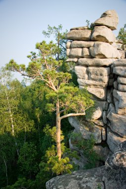 güzel dağ manzarası. doğanın kompozisyon.