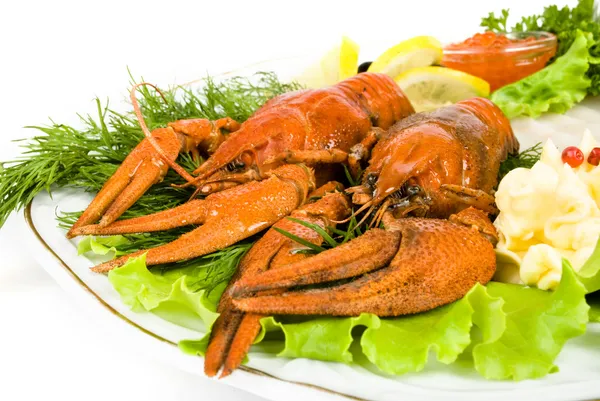 Lobsters with salad — Stock Photo, Image