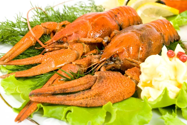 Lobsters with salad — Stock Photo, Image