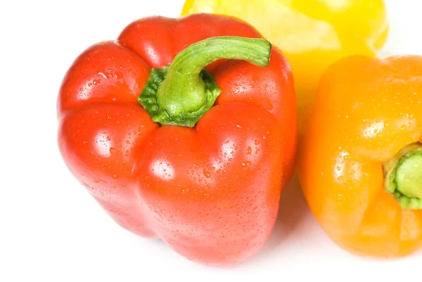 Colored paprika (pepper) isolated on a white background — Stock Photo, Image