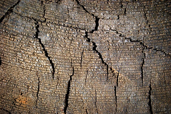 Old wood cracked texture — Stock Photo, Image