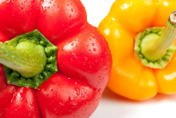 Colored paprika (pepper) isolated on a white background — Stock Photo, Image