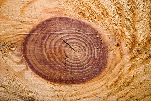 Wood texture — Stock Photo, Image