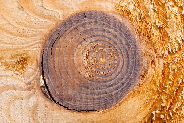 Wood Panel Background Showing Wood Grain Texture Stock Images Page Everypixel