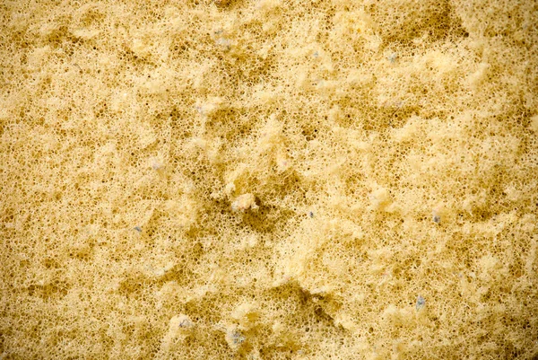Old Sponge texture background — Stock Photo, Image