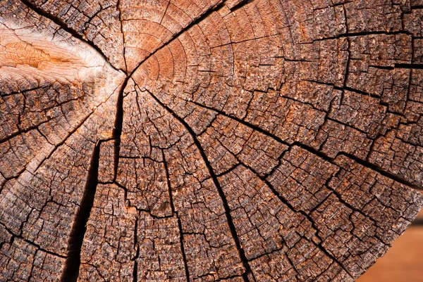 Struttura del legno — Foto Stock