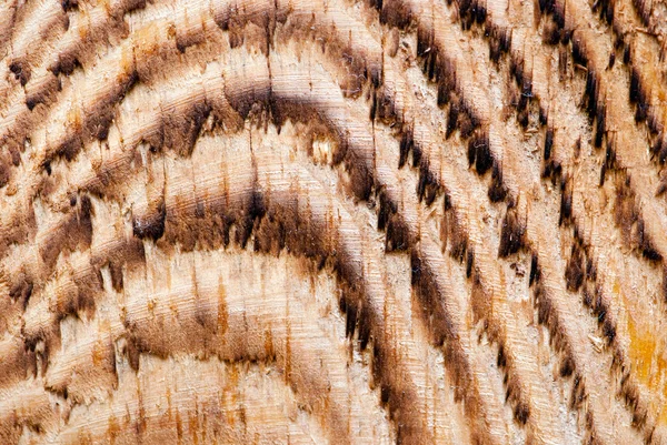 Fondo de madera. Tablero de madera — Foto de Stock