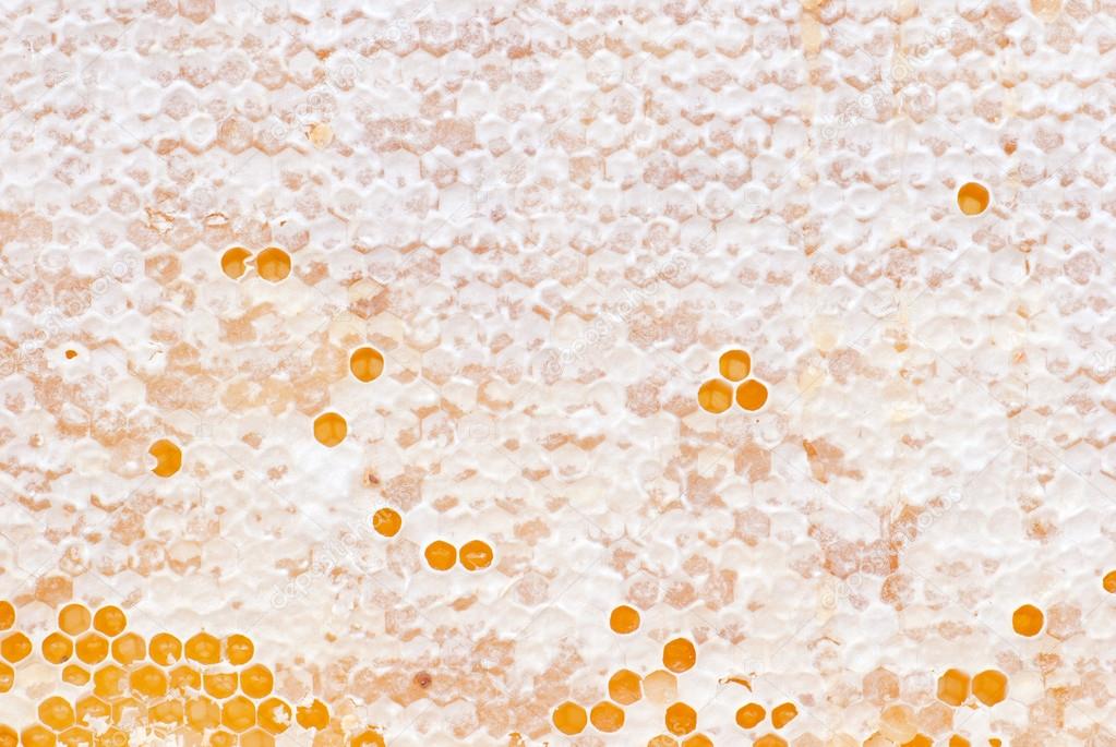 Yellow honeycomb full of honey
